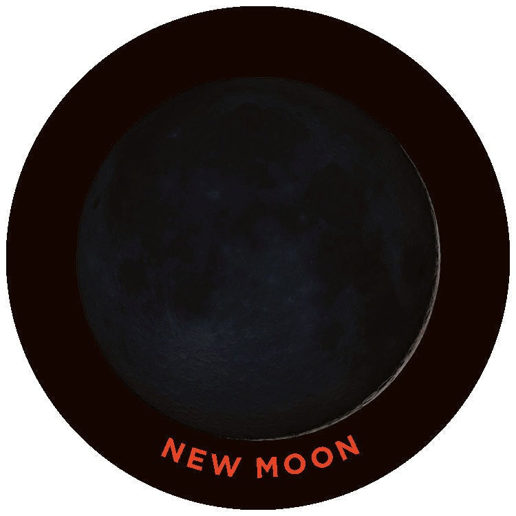 Moon Matching Game