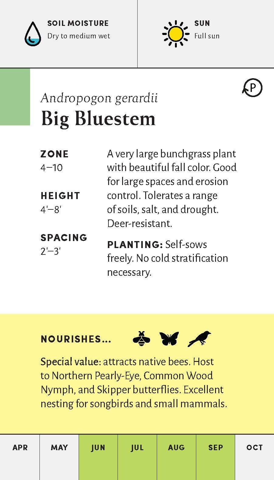 Pollinator Garden Planning Deck
