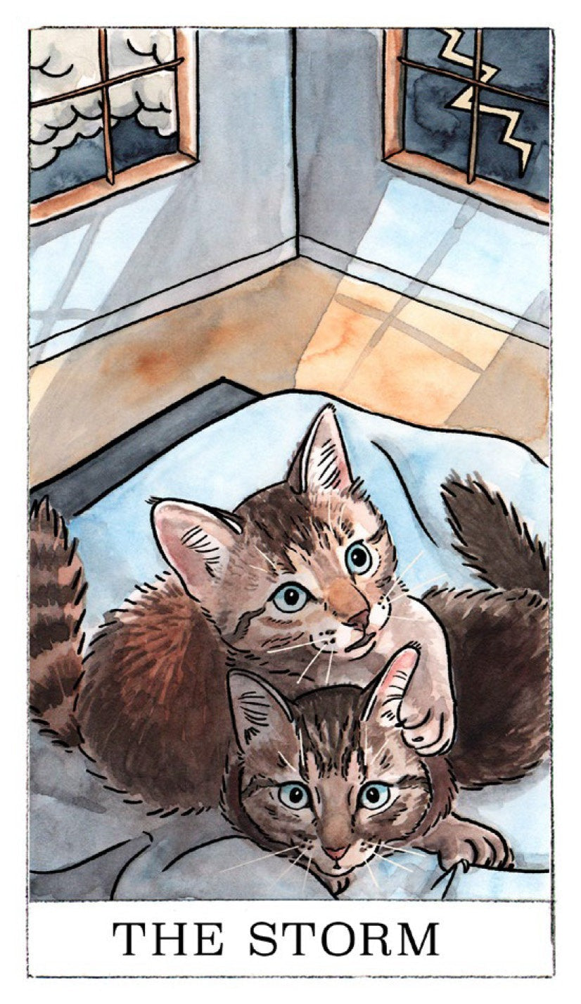 Kitten Oracle