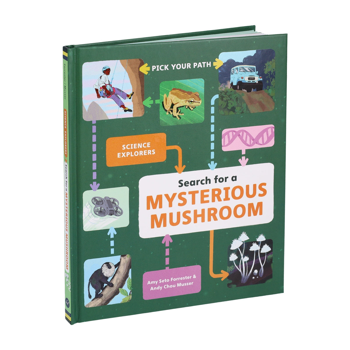 Search for a Mysterious Mushroom