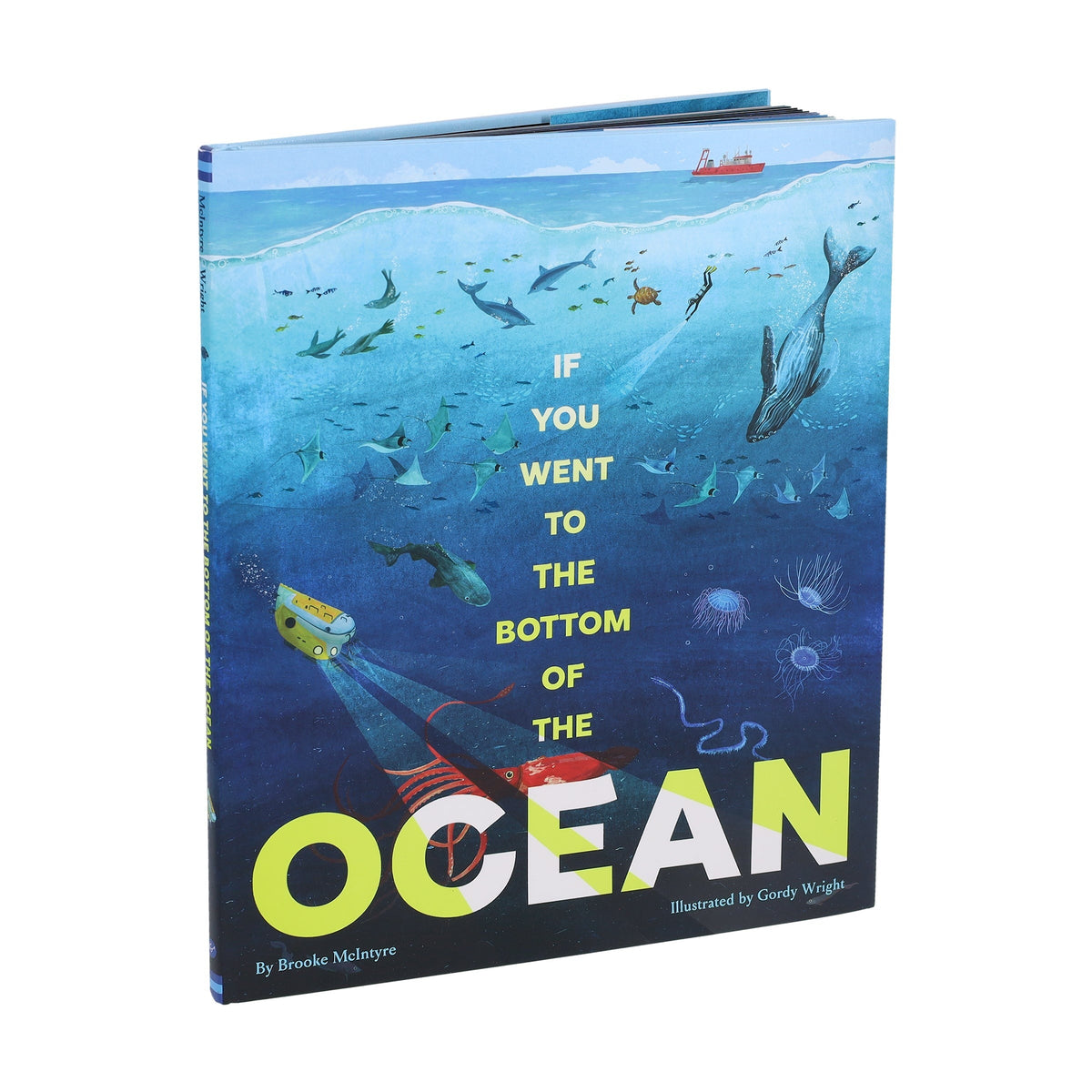 If You Went to the Bottom of the Ocean