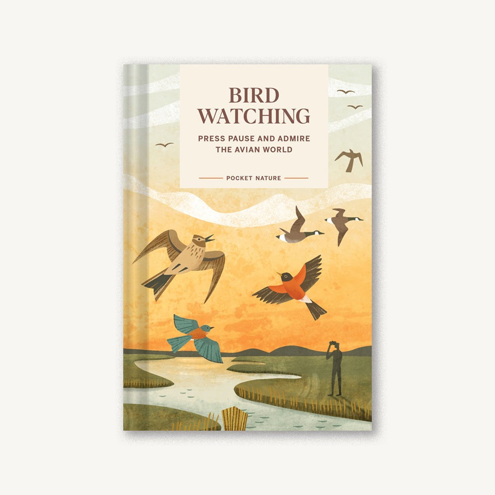 Pocket Nature: Bird-Watching