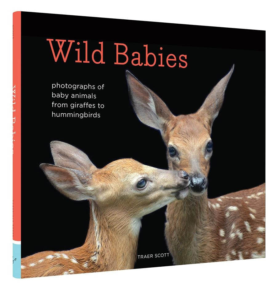Wild Babies