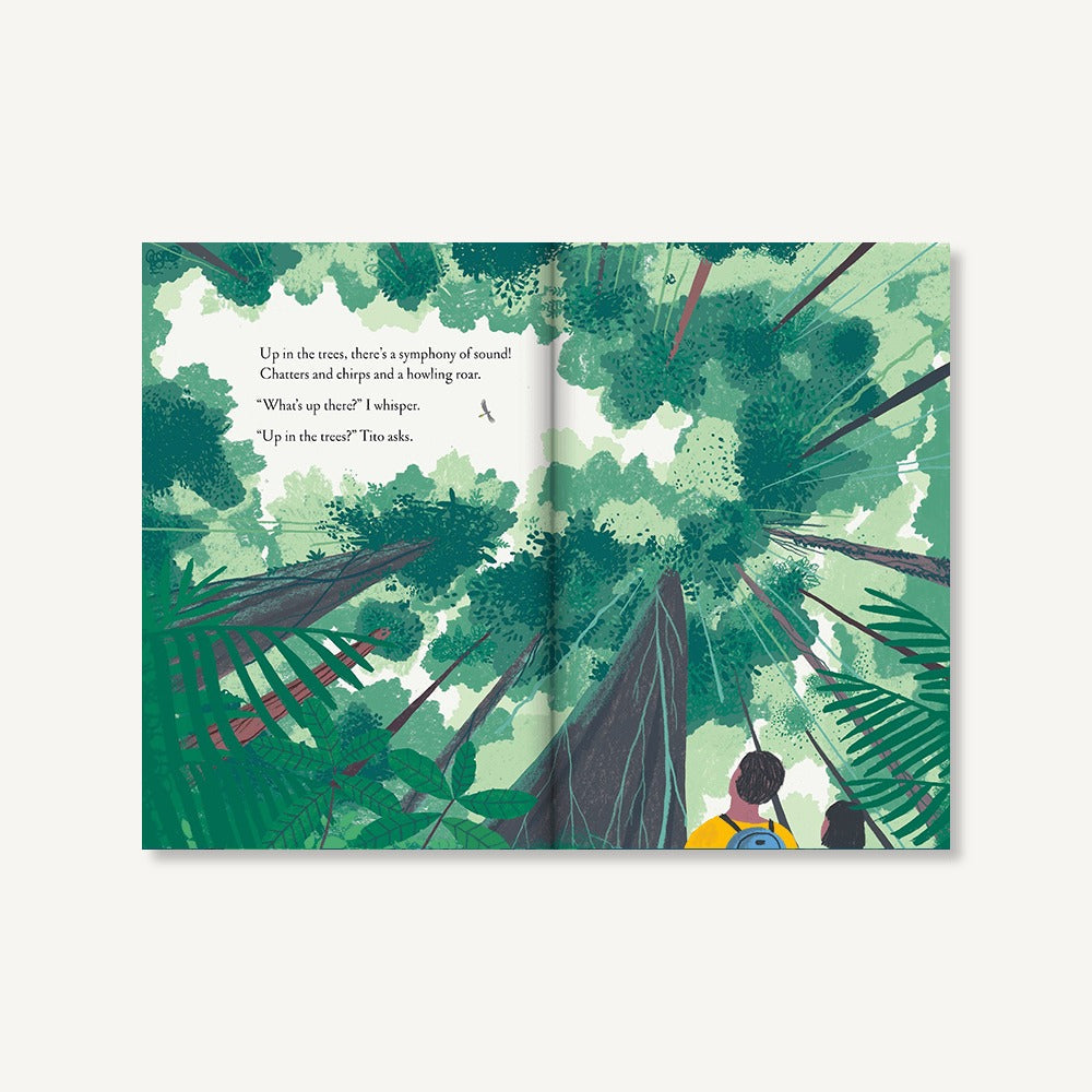 Over and Under the Rainforest