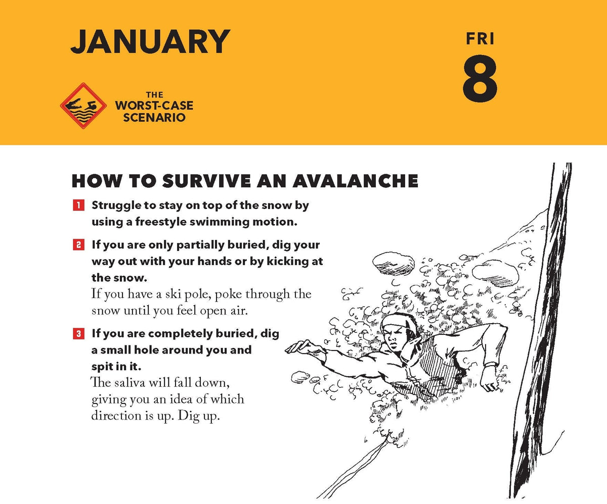 Worst-Case Scenario 2027 Daily Calendar