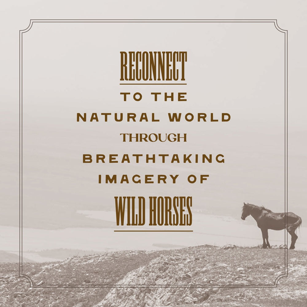 Wild Horse Effect