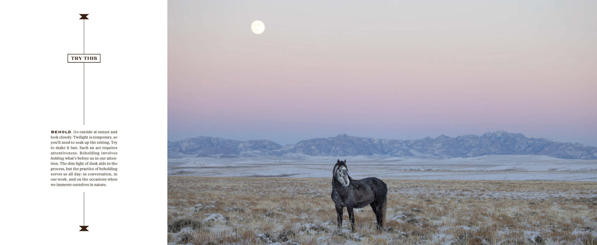 Wild Horse Effect