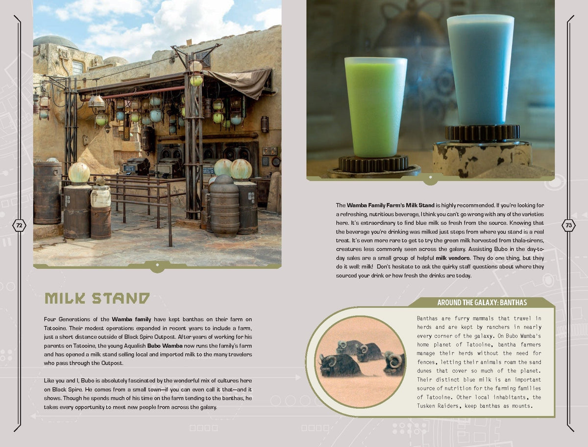 Star Wars: Galaxy's Edge: Traveler's Guide to Batuu