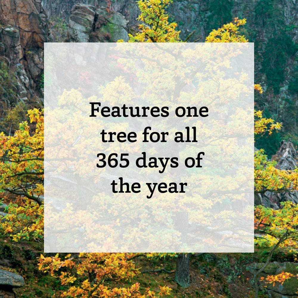 A Tree a Day