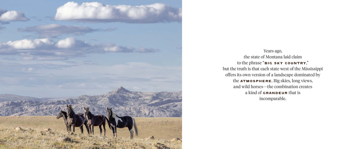 Wild Horse Effect
