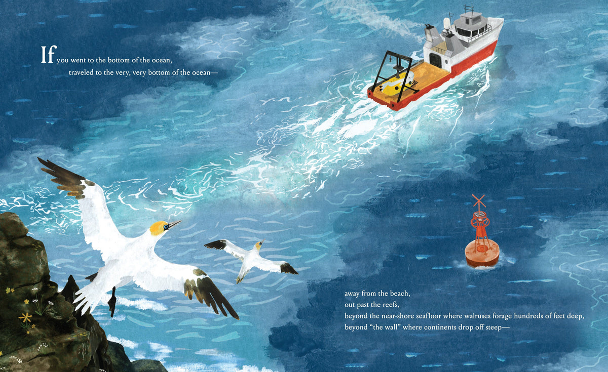 If You Went to the Bottom of the Ocean