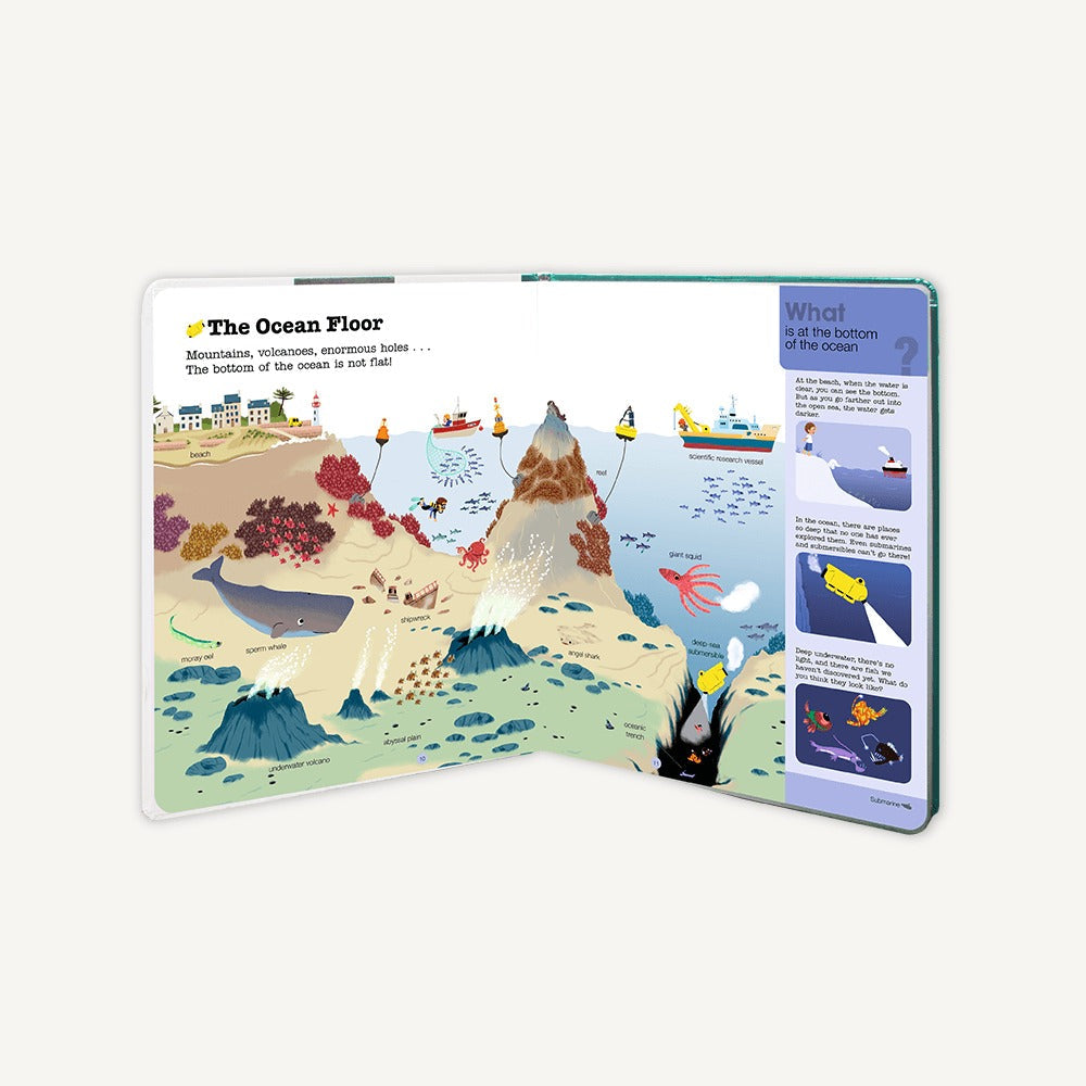 Do You Know?: Oceans and Marine Life