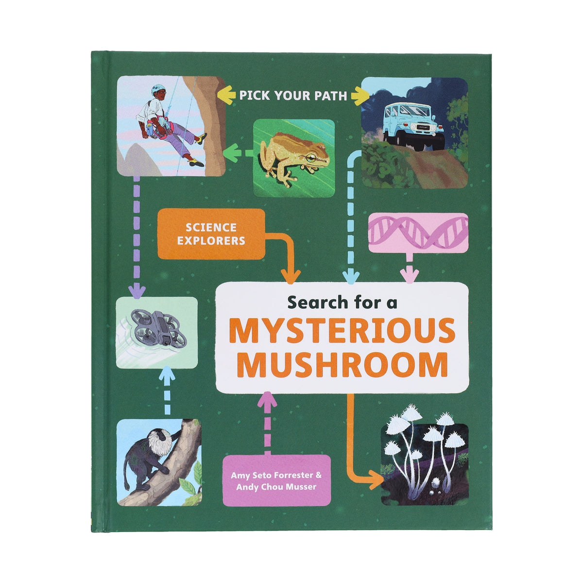 Search for a Mysterious Mushroom