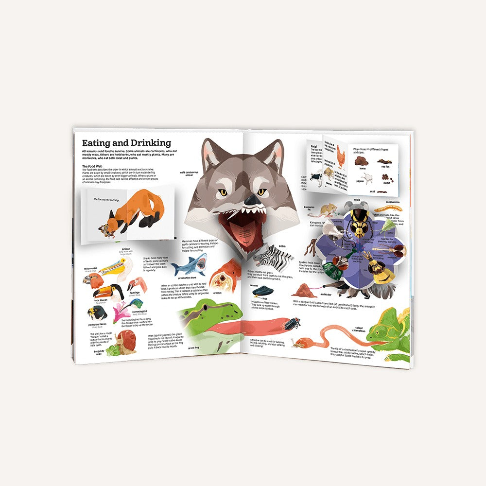 The Ultimate Book of Animals