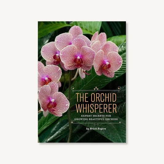 The Orchid Whisperer