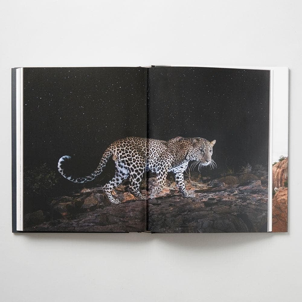 The Black Leopard