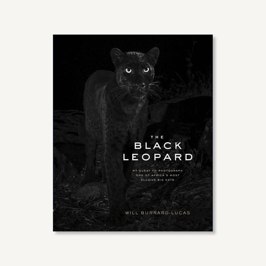 The Black Leopard