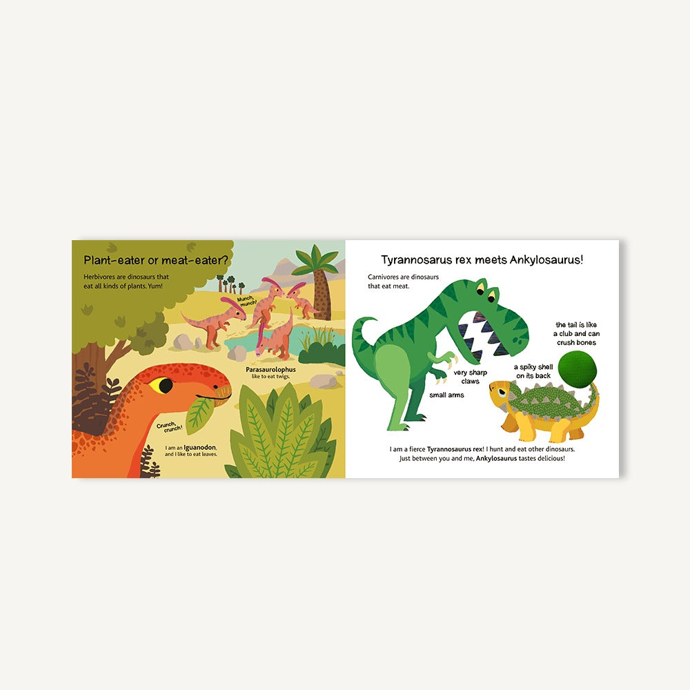 Touch and Explore: Dinosaurs