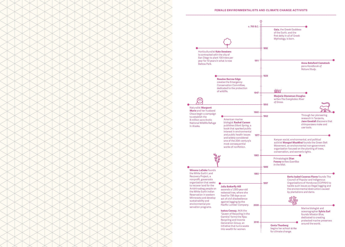Grids & Guides (Pink)