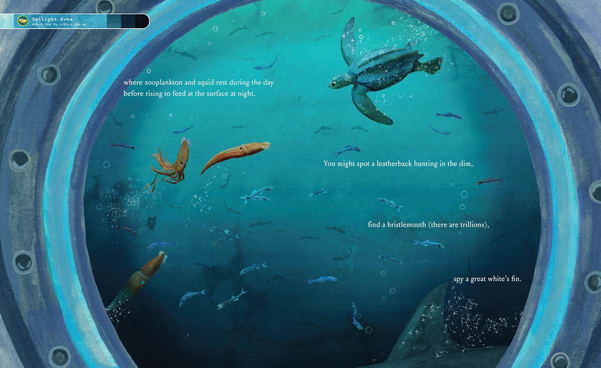 If You Went to the Bottom of the Ocean