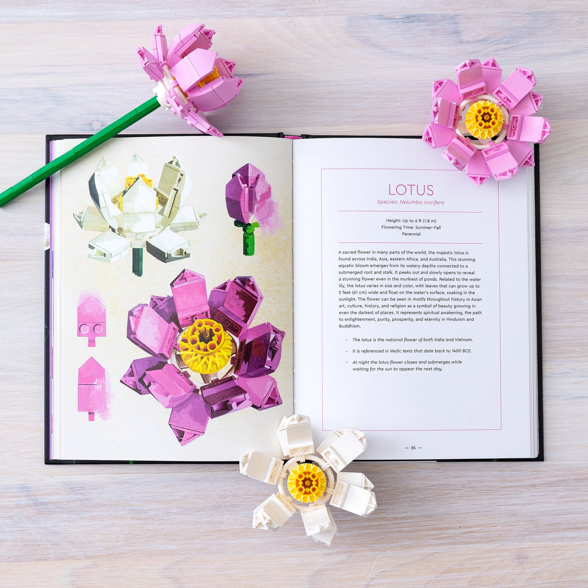 LEGO Botanical Almanac