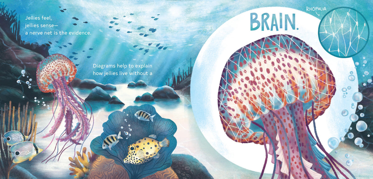 Secrets of the Jellies