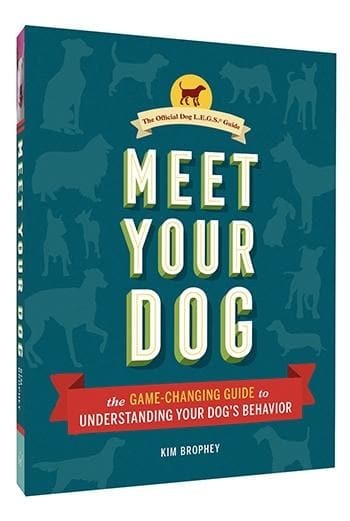 Meet Your Dog