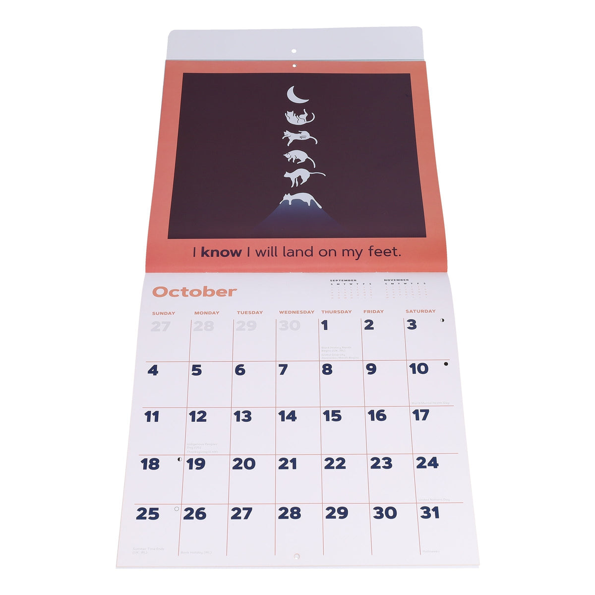 Catffirmations 2026 Wall Calendar