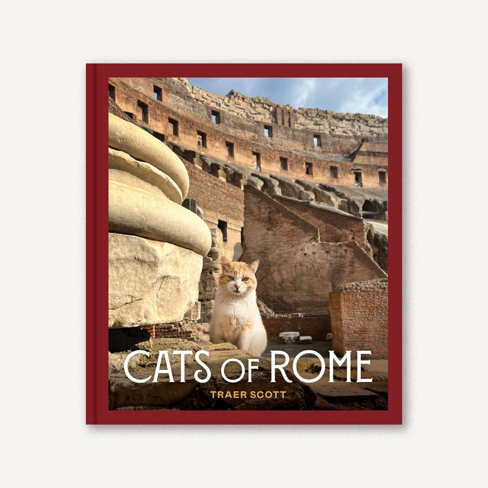 Cats of Rome