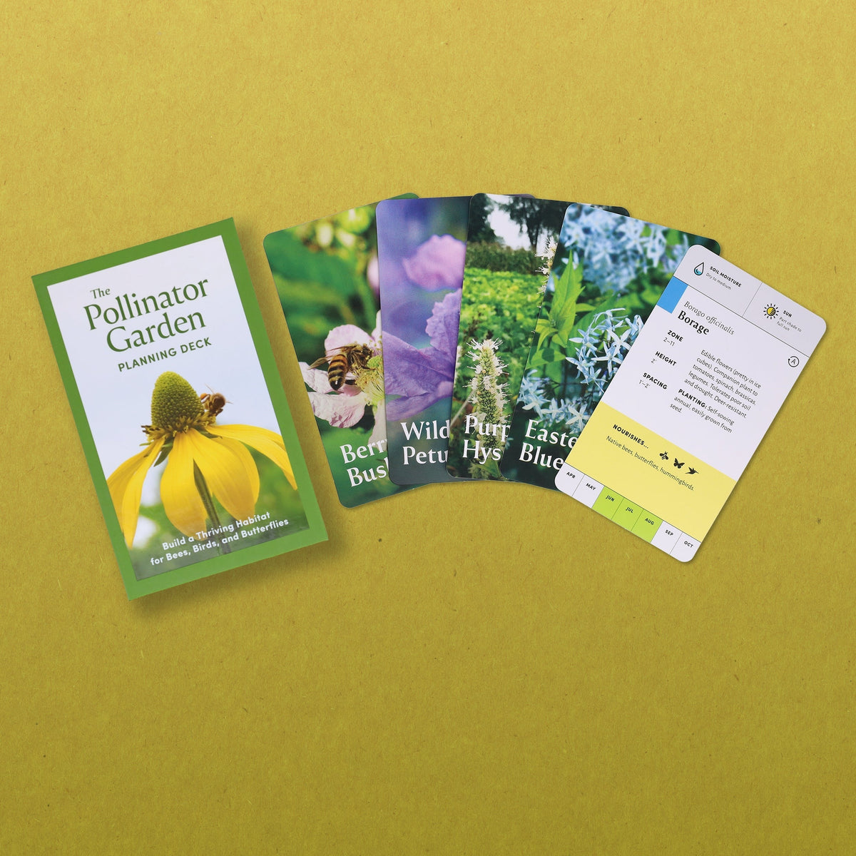 Pollinator Garden Planning Deck