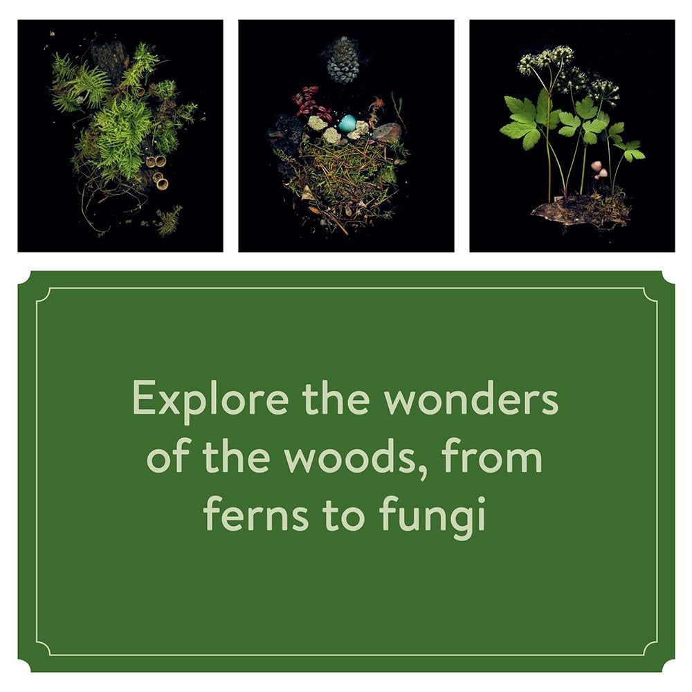 Deep Dark Forest 2025 Wall Calendar