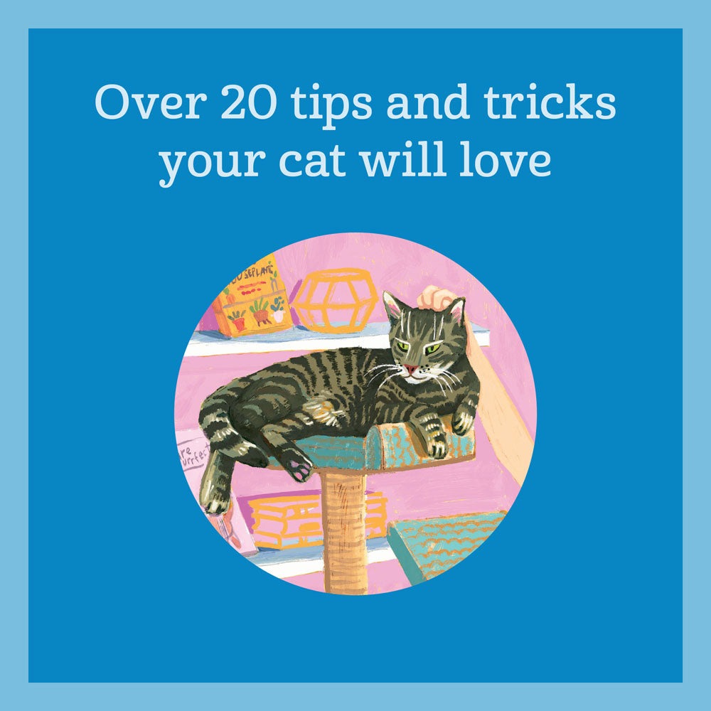 How to Pet a Cat