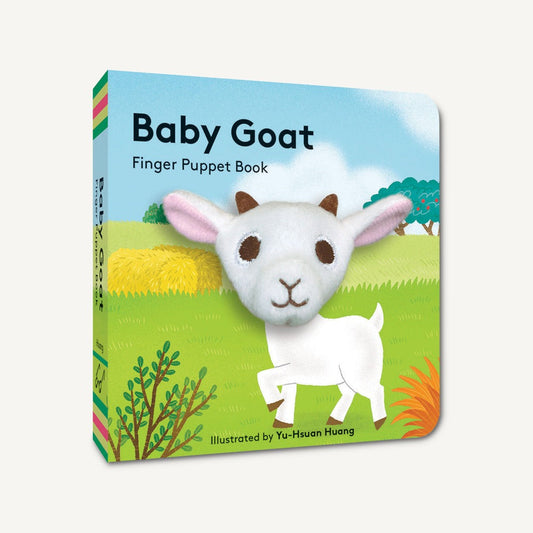 Baby Goat