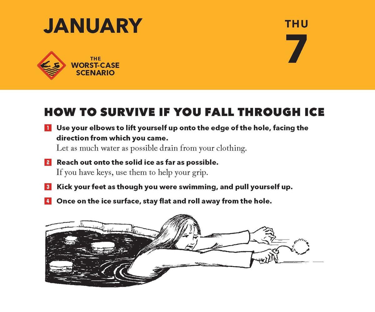 Worst-Case Scenario 2027 Daily Calendar