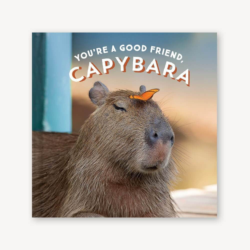 You're a Good Friend Capybara