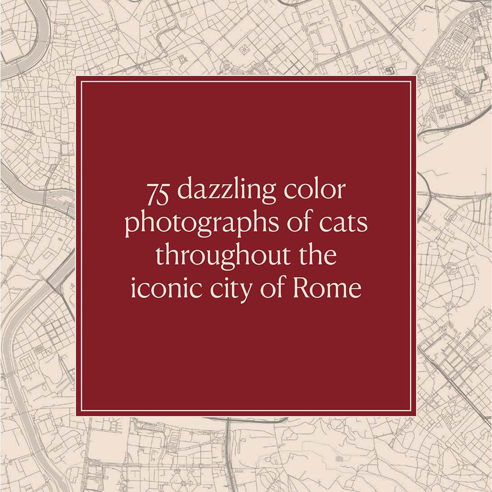 Cats of Rome