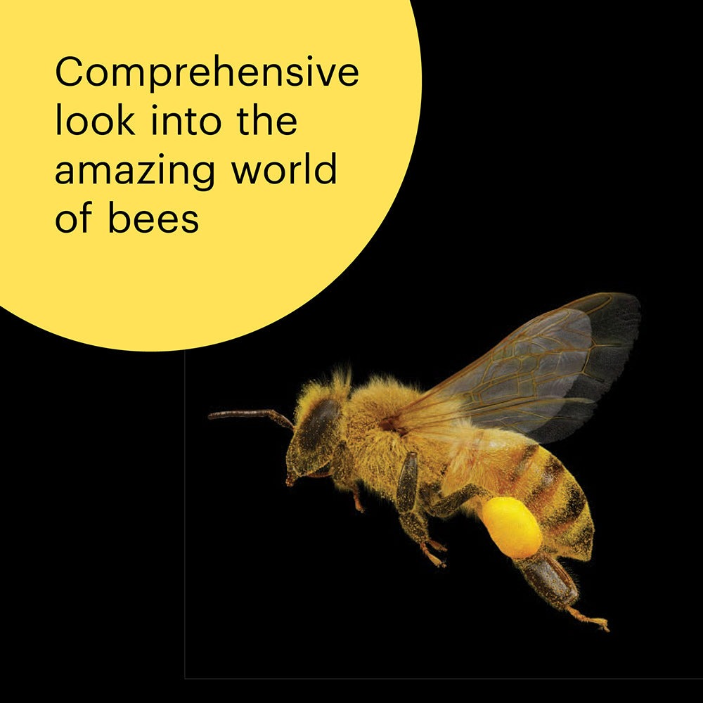 What the Bees See