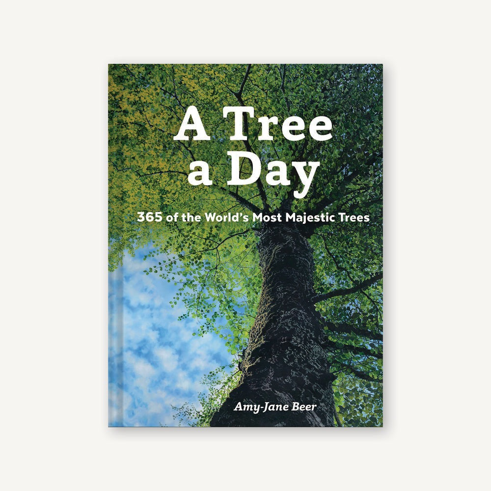 A Tree a Day