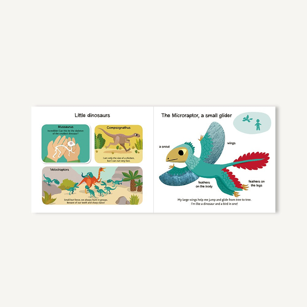 Touch and Explore: Dinosaurs