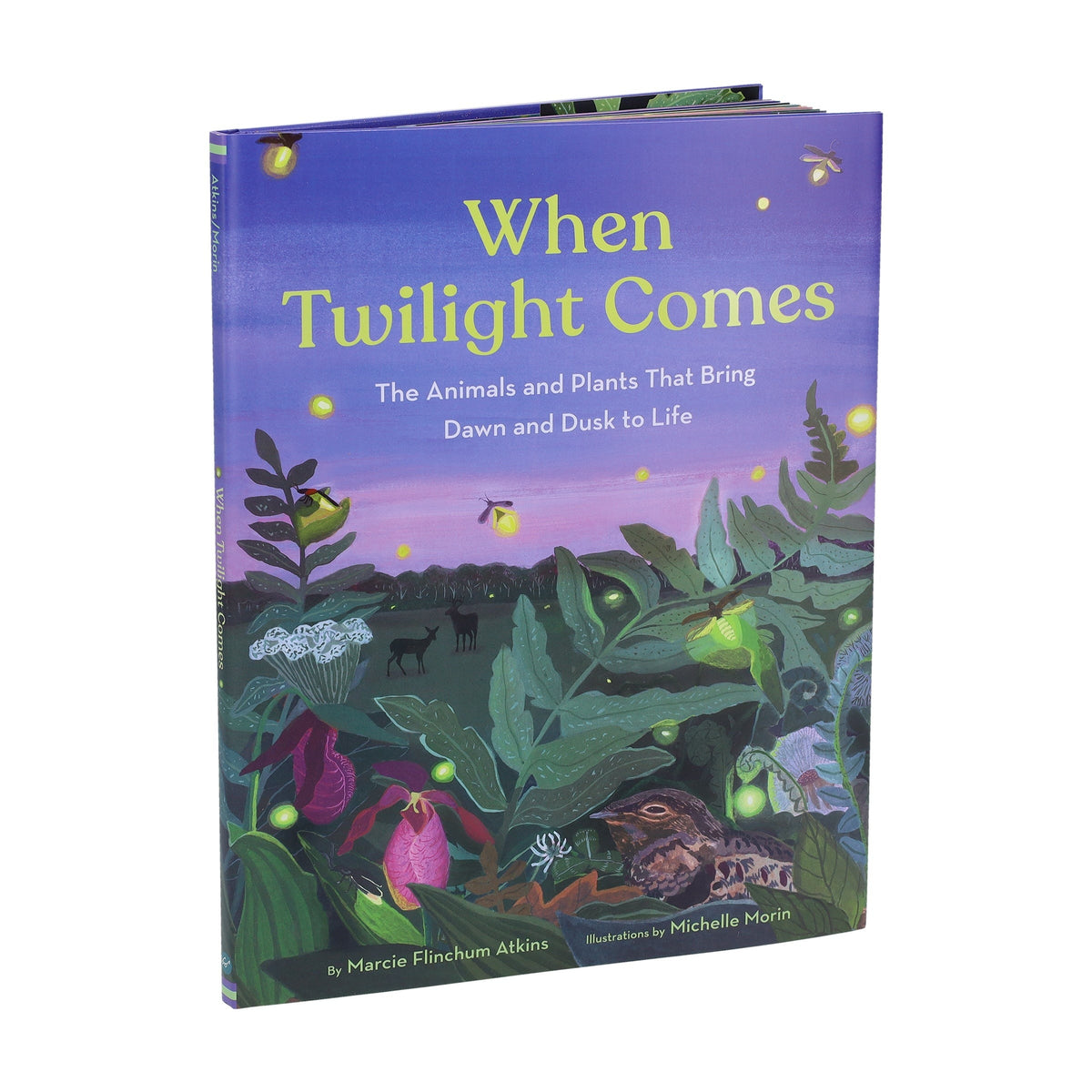 When Twilight Comes