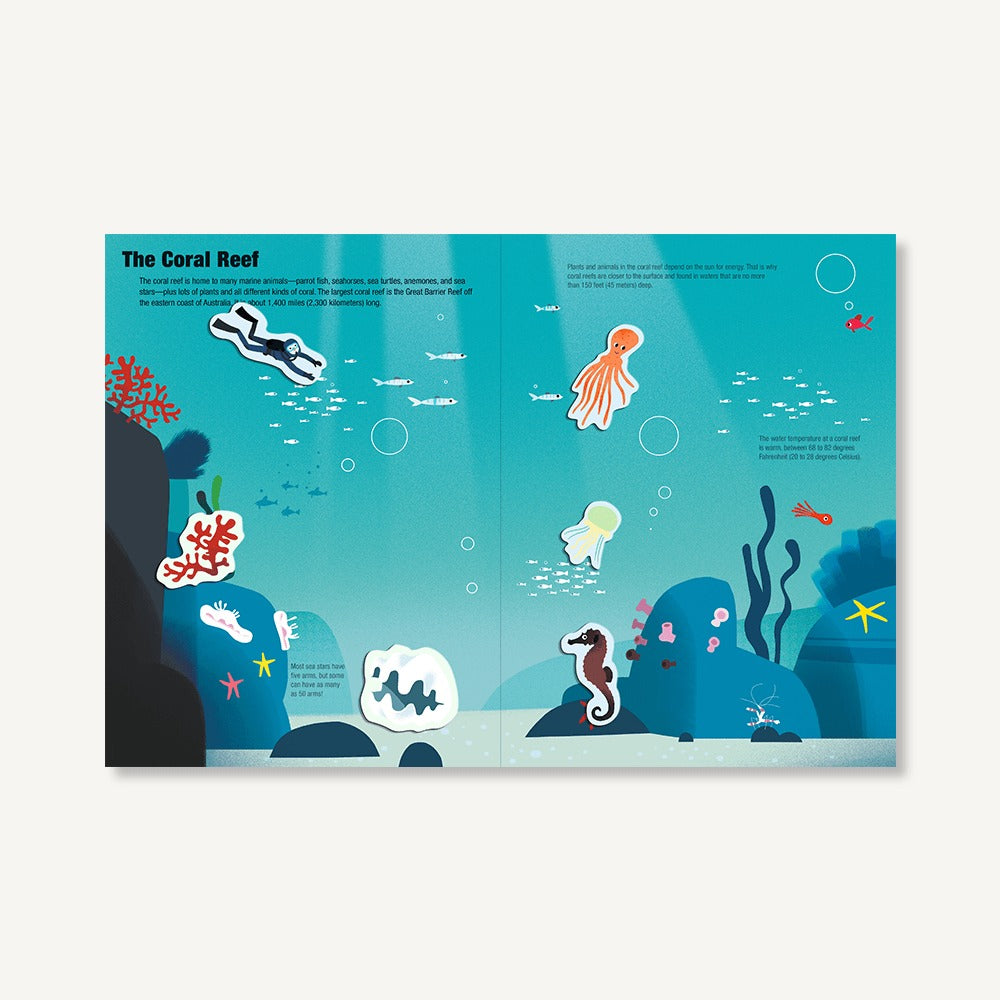 Ocean (Magnetology)