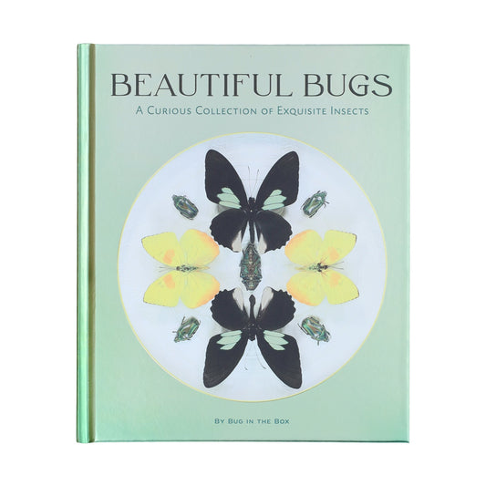 Beautiful Bugs