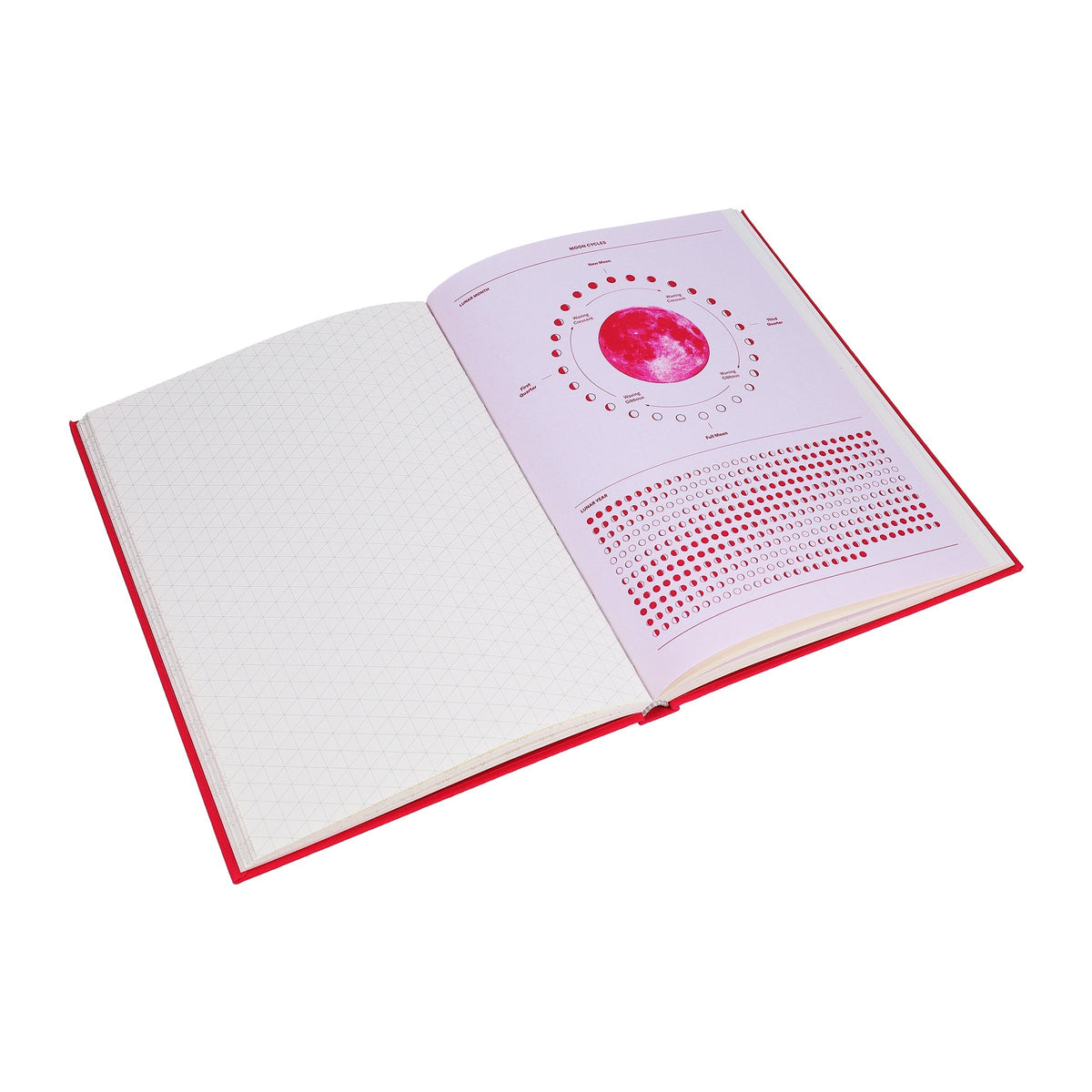 Grids & Guides (Pink)
