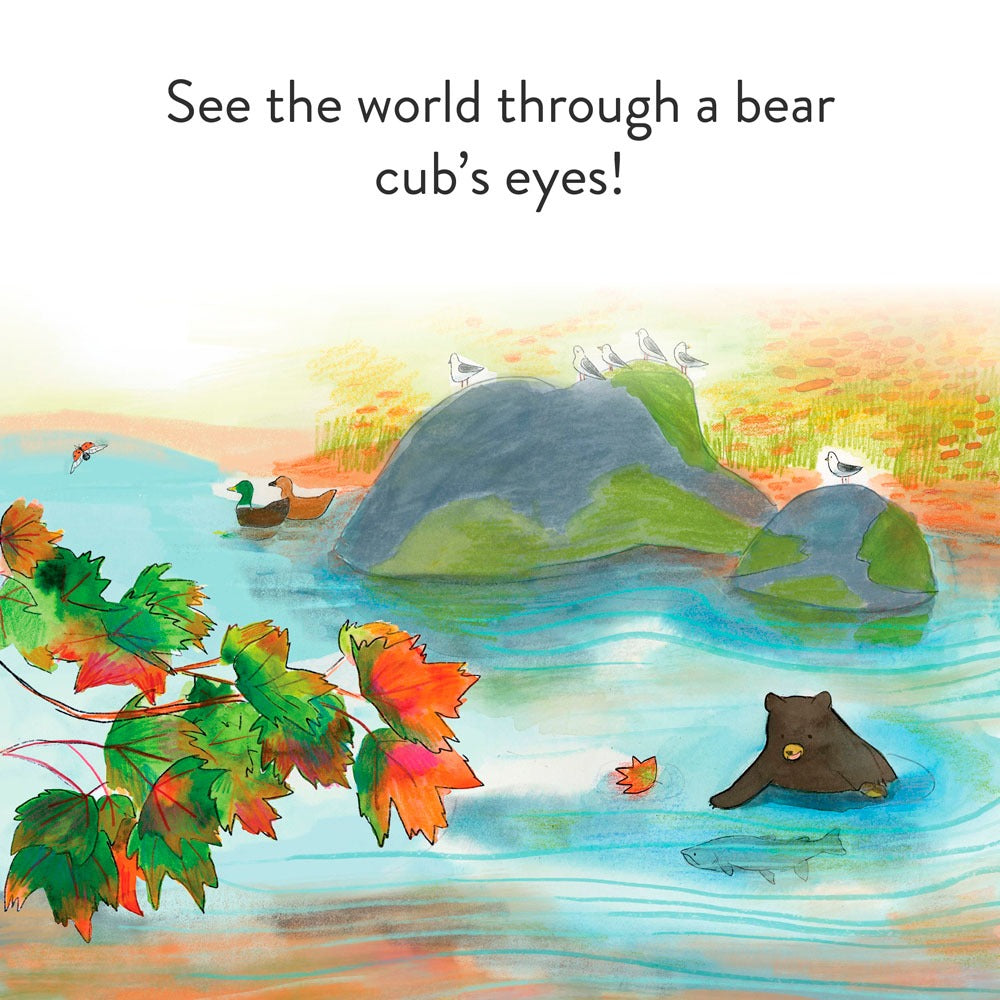 A Cub Story