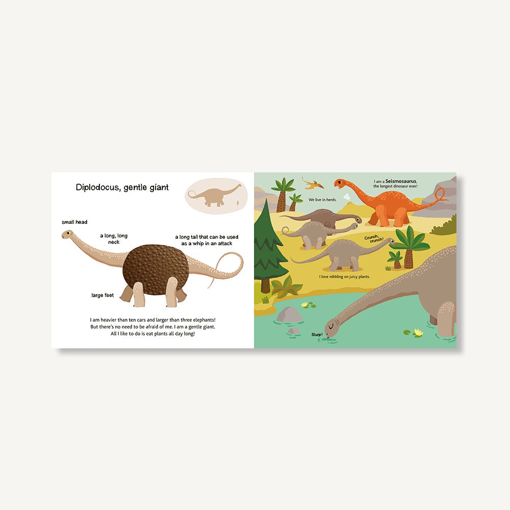 Touch and Explore: Dinosaurs