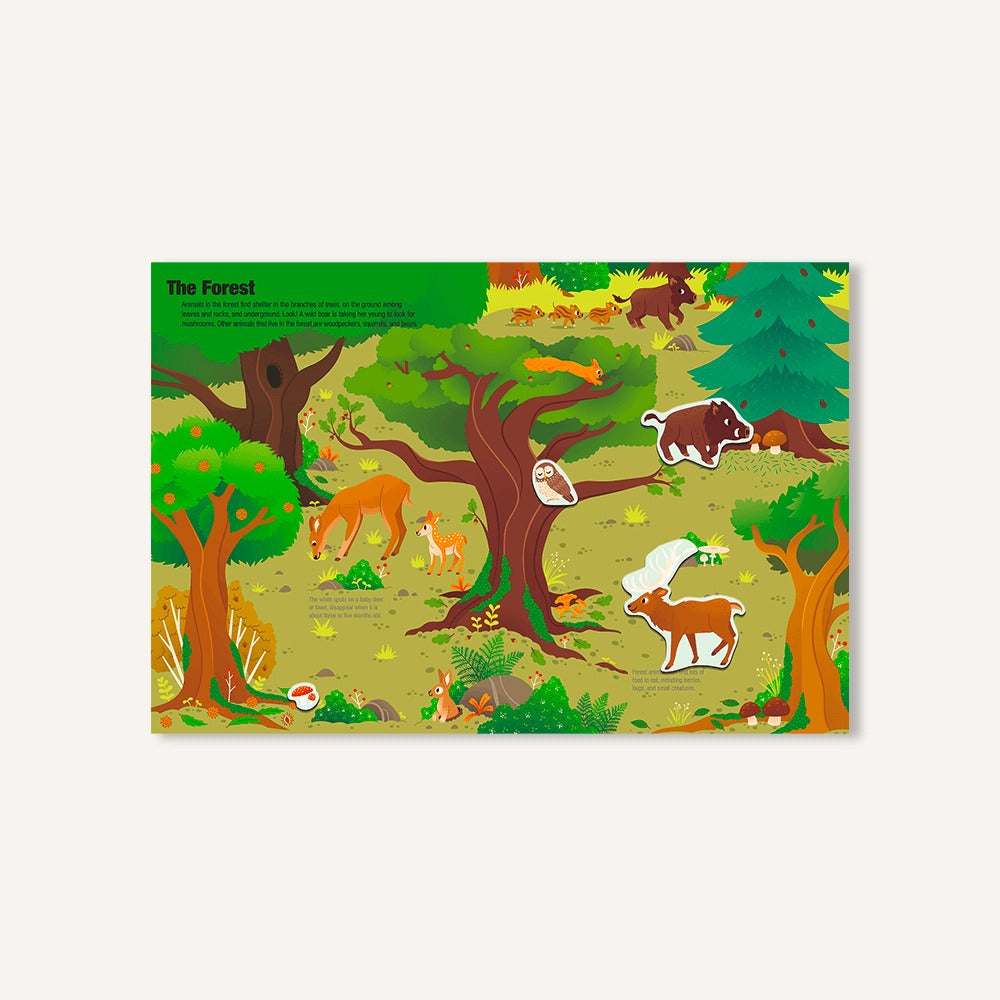 Magnetology: Animals