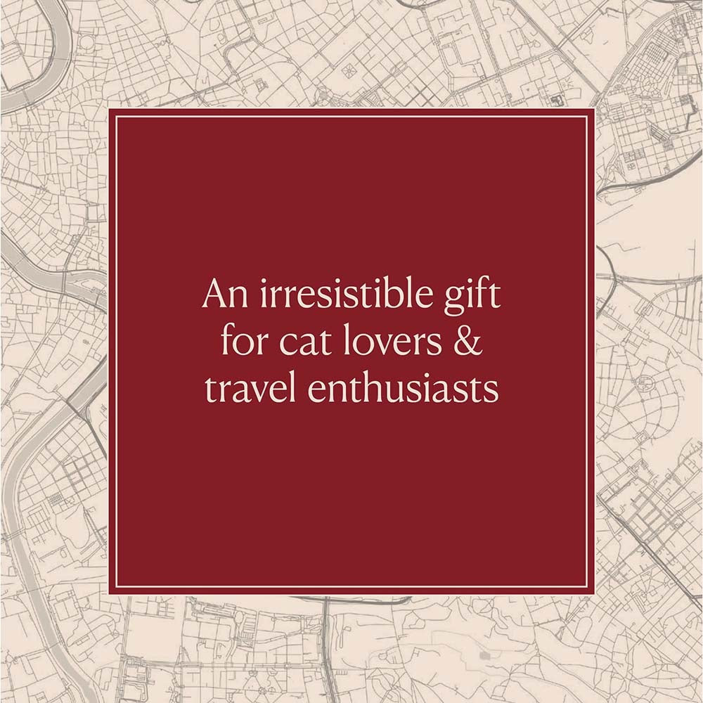 Cats of Rome