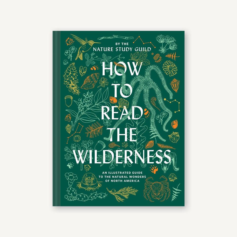 How to Read the Wilderness