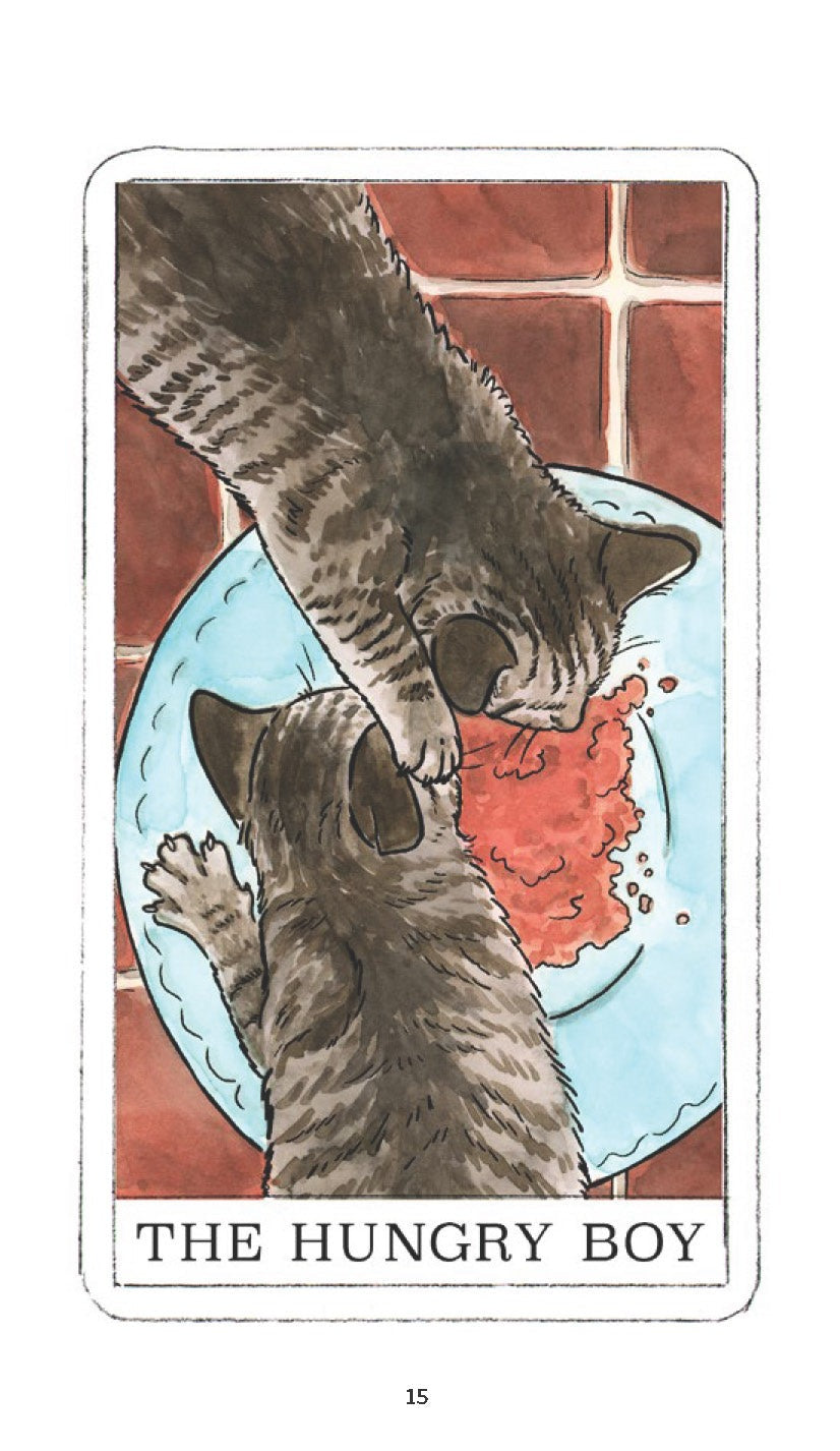 Kitten Oracle