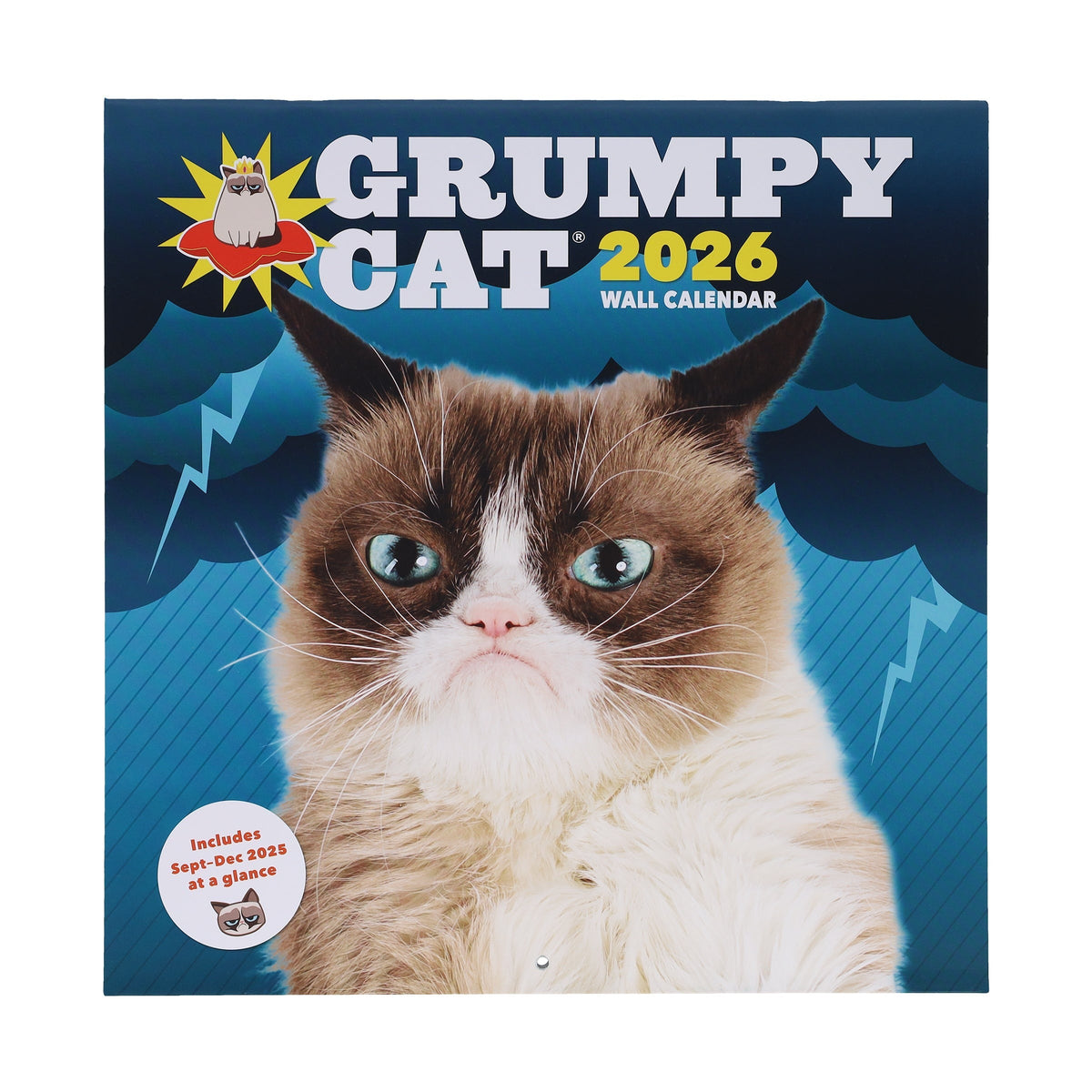 Grumpy Cat 2026 Wall Calendar
